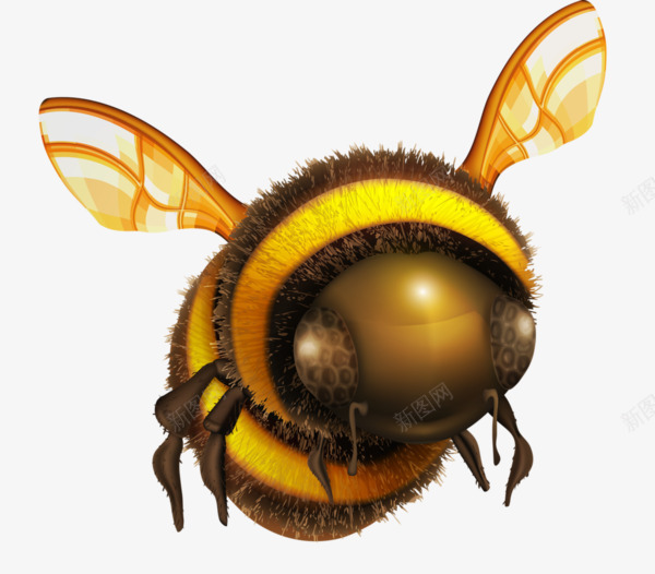 手绘蜜蜂png免抠素材_88icon https://88icon.com 卡通 手绘 眼睛 翅膀 蜜蜂