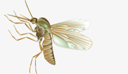 昆虫手绘修饰翅膀触角飞行矢量图素材