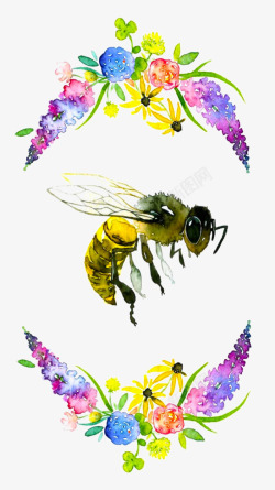 手绘花朵与蜜蜂素材