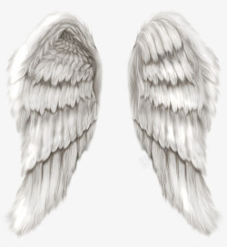 创意手绘合成白色的翅膀造型素材