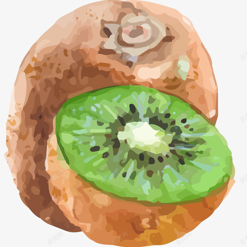 新鲜猕猴桃水彩画矢量图ai免抠素材_88icon https://88icon.com 免抠PNG 奇异果 新鲜猕猴桃水彩画 热带水果 猕猴桃 绿色果肉 矢量图