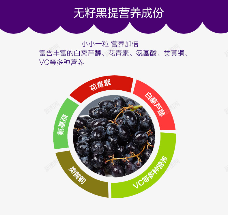 夏黑葡萄介绍说明png免抠素材_88icon https://88icon.com 介绍说明 夏黑 水果 葡萄