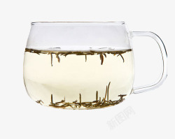 迷迭香茶玻璃杯泡茶素材