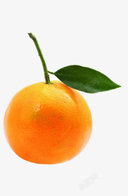 橙子叶新鲜美味高清图片