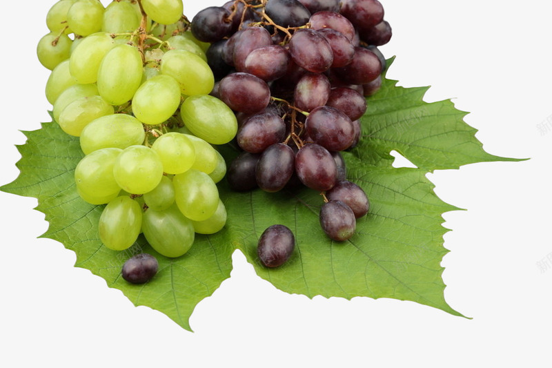 紫葡萄和绿葡萄png免抠素材_88icon https://88icon.com 庄园 绿葡萄 葡萄 葡萄酒