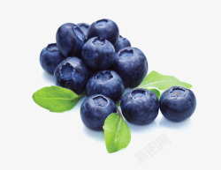 新鲜的蓝莓素材