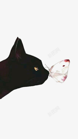 黑色宠物猫咪和蝴蝶素材