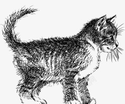 手绘可爱小猫咪素材