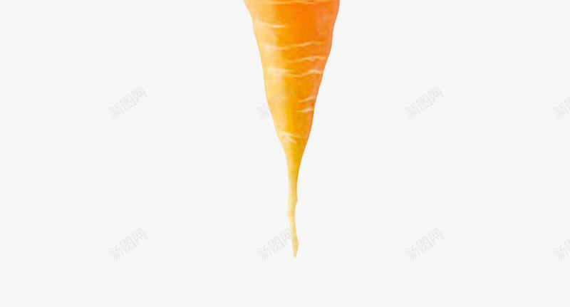橙色带划痕的胡萝卜实物png免抠素材_88icon https://88icon.com 水果 维生素 美味 美食 营养 补充 食品药品 食物 食用 饮用