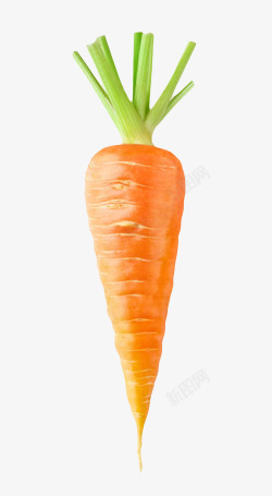 橙色带划痕的胡萝卜实物素材