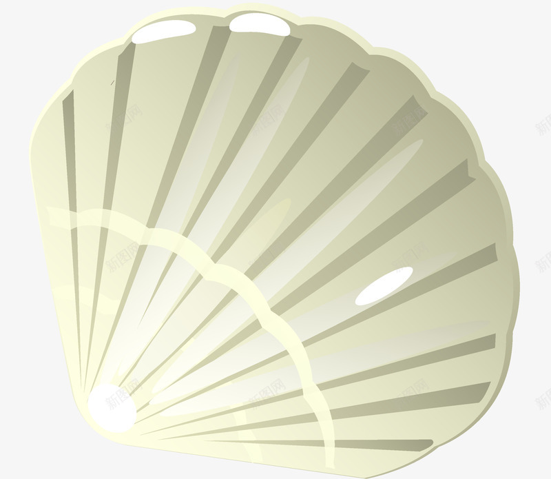 卡通海洋元素png免抠素材_88icon https://88icon.com 夏日 海洋 海滩 贝壳