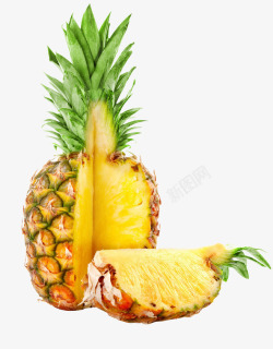 新鲜菠萝欢迎选购素材