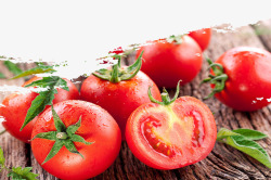 安全农产品农产品大红色西红柿高清图片