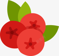 红色蔓越莓素材