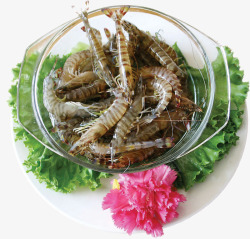 濑尿虾新鲜的濑尿虾高清图片