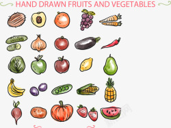 手绘25款水果和蔬菜素材