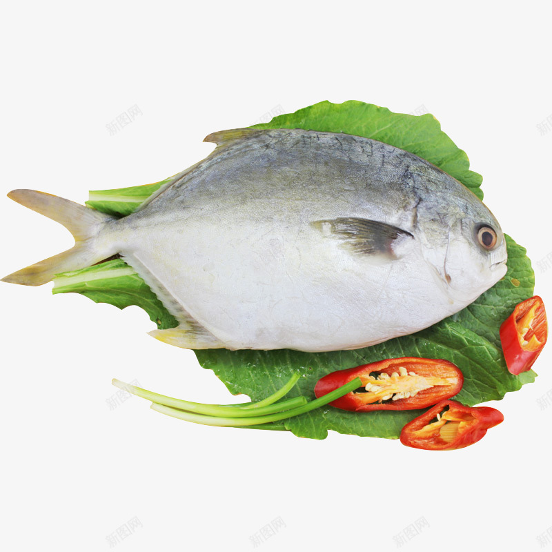 鲳鱼食材png免抠素材_88icon https://88icon.com 产品实物图 新鲜 海鲜 食材 鲳鱼