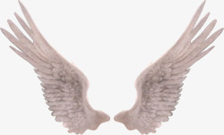 一对白色天使翅膀素材
