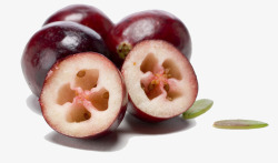 新鲜蔓越莓素材