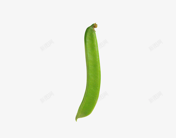 一个绿色食品刀豆psd免抠素材_88icon https://88icon.com 中药 植物 草质藤本 豆科