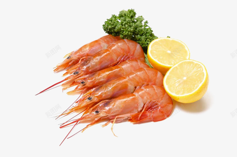 甜虾png免抠素材_88icon https://88icon.com 对虾 新鲜 海虾 虾