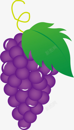 紫色葡萄效果元素素材