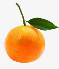 一个橙子新鲜桔子高清图片