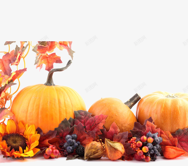 实物梧桐南瓜向日葵png免抠素材_88icon https://88icon.com 农家乐 南瓜 梧桐树叶 法国梧桐 菜园 葡萄 藤蔓
