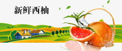 柚子庄园新鲜西柚海报高清图片