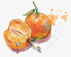 水彩作品柑橘色彩写生画高清图片