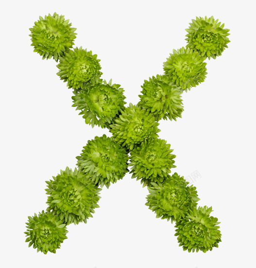 X绿色圆球植物海报背景png免抠素材_88icon https://88icon.com 圆球 植物 海报 绿色 背景