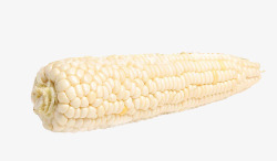 一个新鲜的白色糯玉米素材