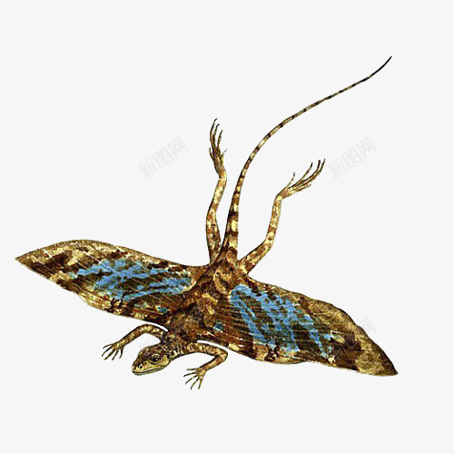 一条彩色带翅膀的蜥蜴png免抠素材_88icon https://88icon.com 动物 手绘 插图 翅膀 蜥蜴