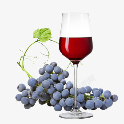 葡萄与美酒素材
