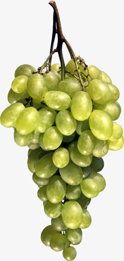 新鲜绿色葡萄实物素材