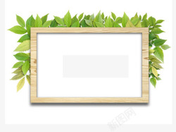 绿色嫩叶点缀木质装饰板素材