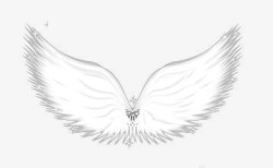 洁白的天使翅膀素材