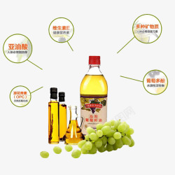 葡萄籽油抗衰老抗氧化维生素素材