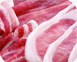 新鲜生鲜猪肉五花肉素材