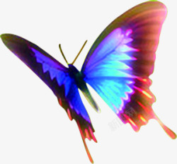 彩色光效翅膀蝴蝶素材