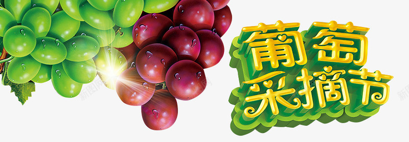 葡萄采摘png免抠素材_88icon https://88icon.com 宣传标语 紫葡萄 青葡萄