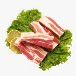 猪带骨五花肉条素材