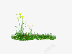 草地上的小花素材