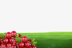 纯天然蔓越莓产品海报素材
