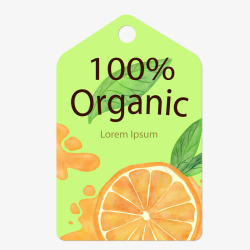 橙子果汁标签矢量图素材