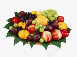 维生素补充一篮子水果维生素营养补充高清图片
