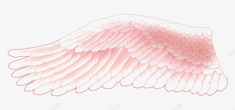 粉色的翅膀png免抠素材_88icon https://88icon.com 单个 手绘 粉色 翅膀