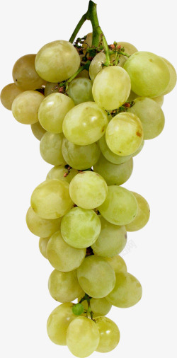 一串葡萄绿色葡萄素材