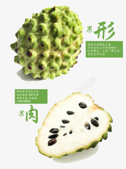 新鲜水果台湾释迦果素材