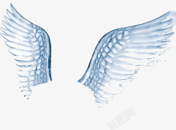 透明翅膀素材